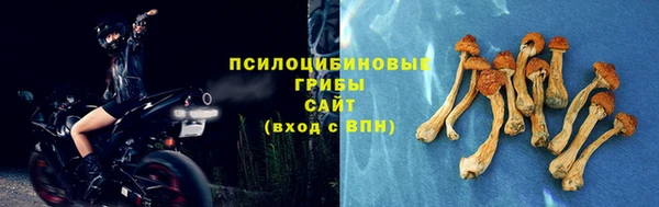 прущие грибы Алексеевка