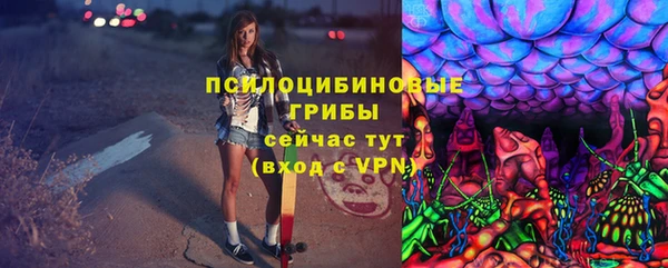 ALPHA PVP Алексин