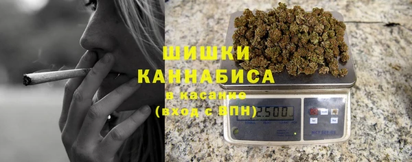 прущие грибы Алексеевка